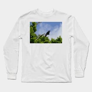 Overseeing His Domain Long Sleeve T-Shirt